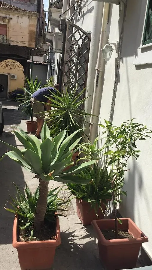 Zziny House Apartment Catania